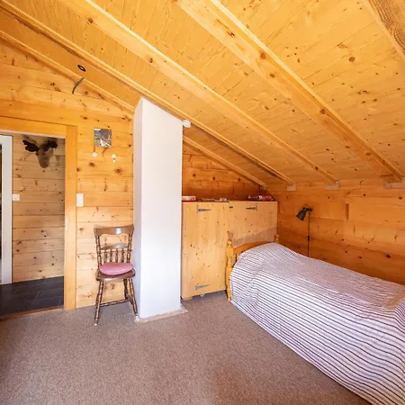 In Near Aletsch Glacier Fiesch